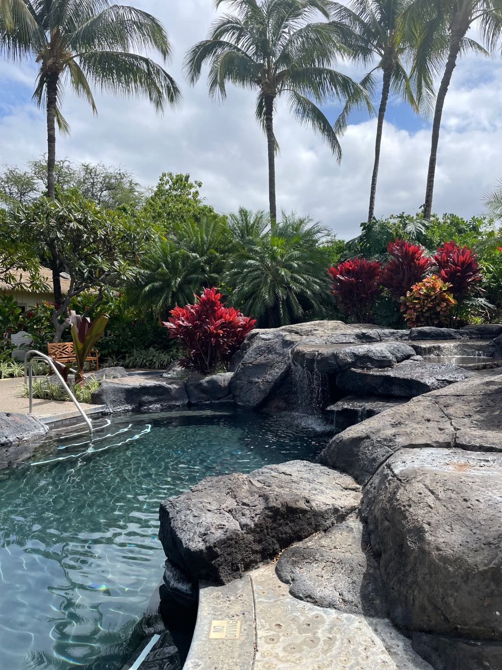 Zona de piscina con agua cristalina, rodeada de rocas grandes y palmeras.
