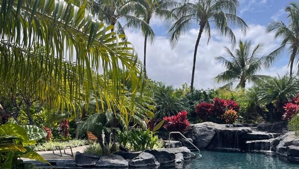 A clear pool with a waterfall, surrounded by tropical plants and palm trees.