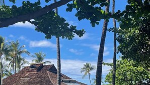 A house with a thatched roof, surrounded by lush greenery and palm trees, with a view of the ocean.