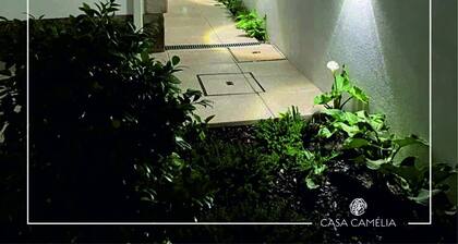 House of Camellias