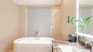 Shower, hair dryer, bathrobes, slippers