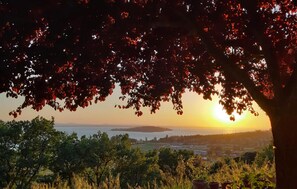 Vista dalla struttura