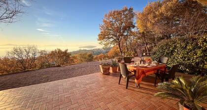Pet friendly home in San Savino di Magione
