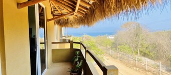 bonobo living apartments