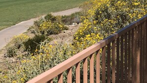 A golf course with a clear view of the green and a wooden fence in the foreground. - Private Pool on the Golf Course in Surprise (Surprise)