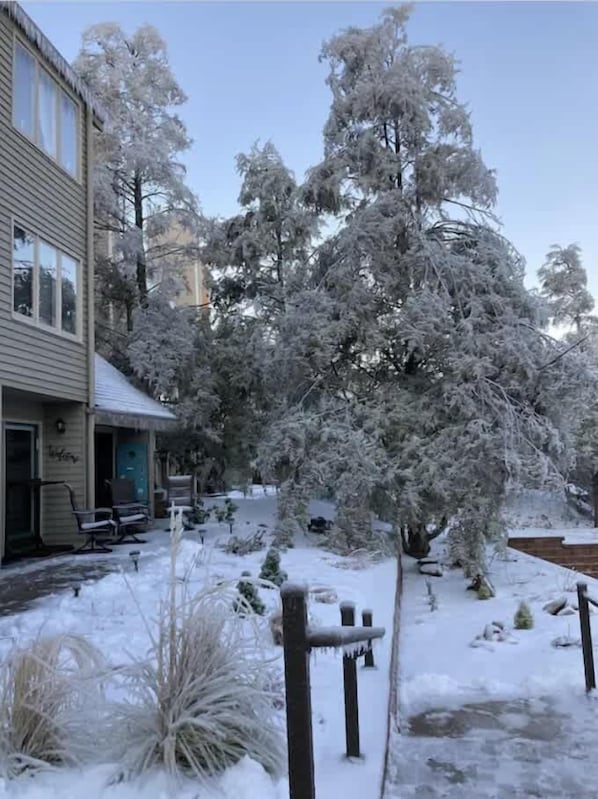 Een sneeuwbedekte binnenplaats met een gebouw, een boom en een houten hek.