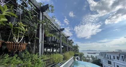 PARIS OF DRAGONBAY HOTEL