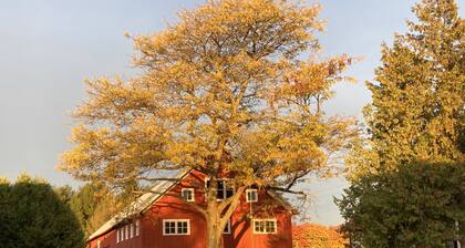 Adorable apartment close to Traverse City in a beautiful farm setting