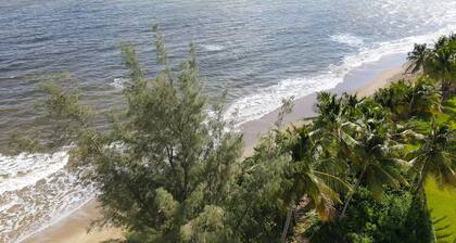 Private pool house/Walk to the beach/Fast Wi-fi