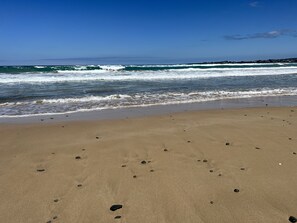 On the beach - Adorable 2 Bedroom Cabin in Holiday Park (Apollo Bay)