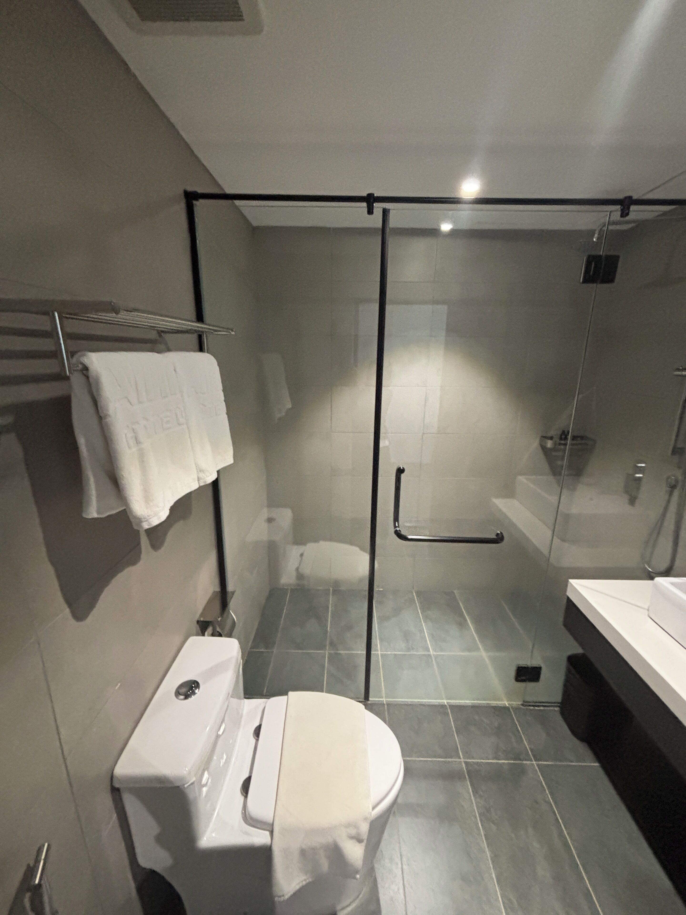 Une salle de bain moderne dotée d’une douche à parois de verre, de toilettes et d’un lavabo.