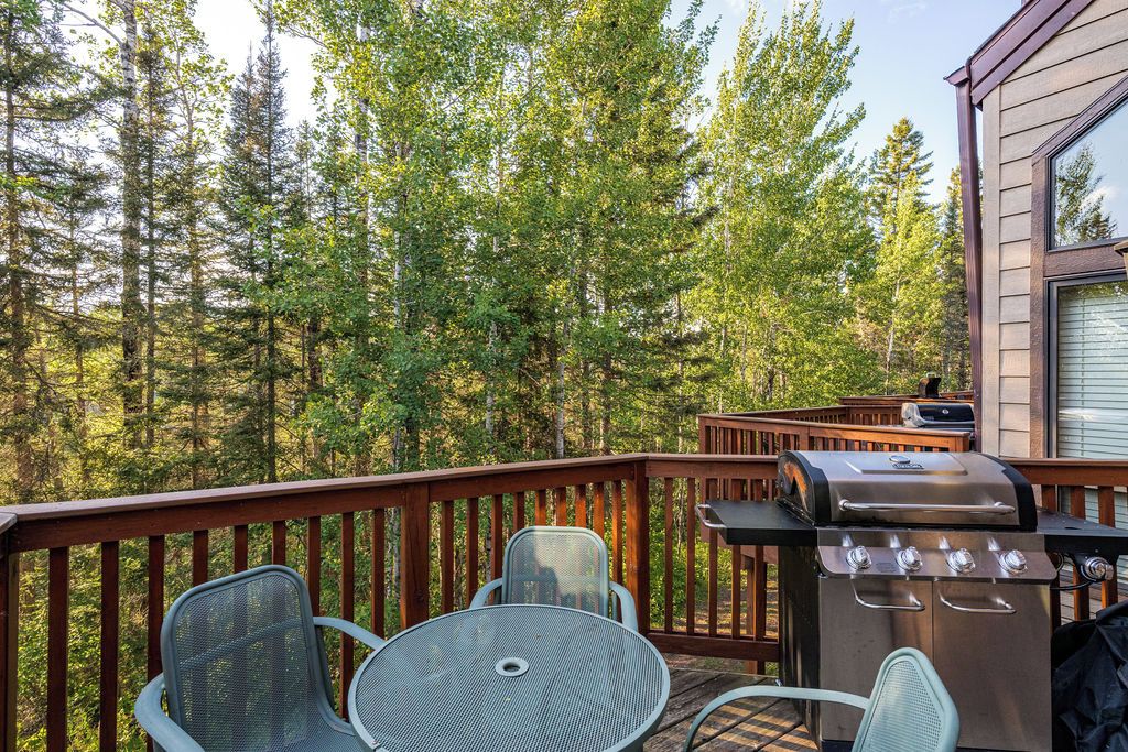 Une terrasse avec un barbecue, des chaises et une vue sur une forêt.
