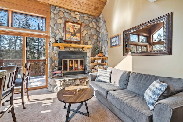 Smart TV, fireplace, DVD player, books