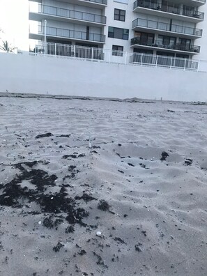 施設の敷地