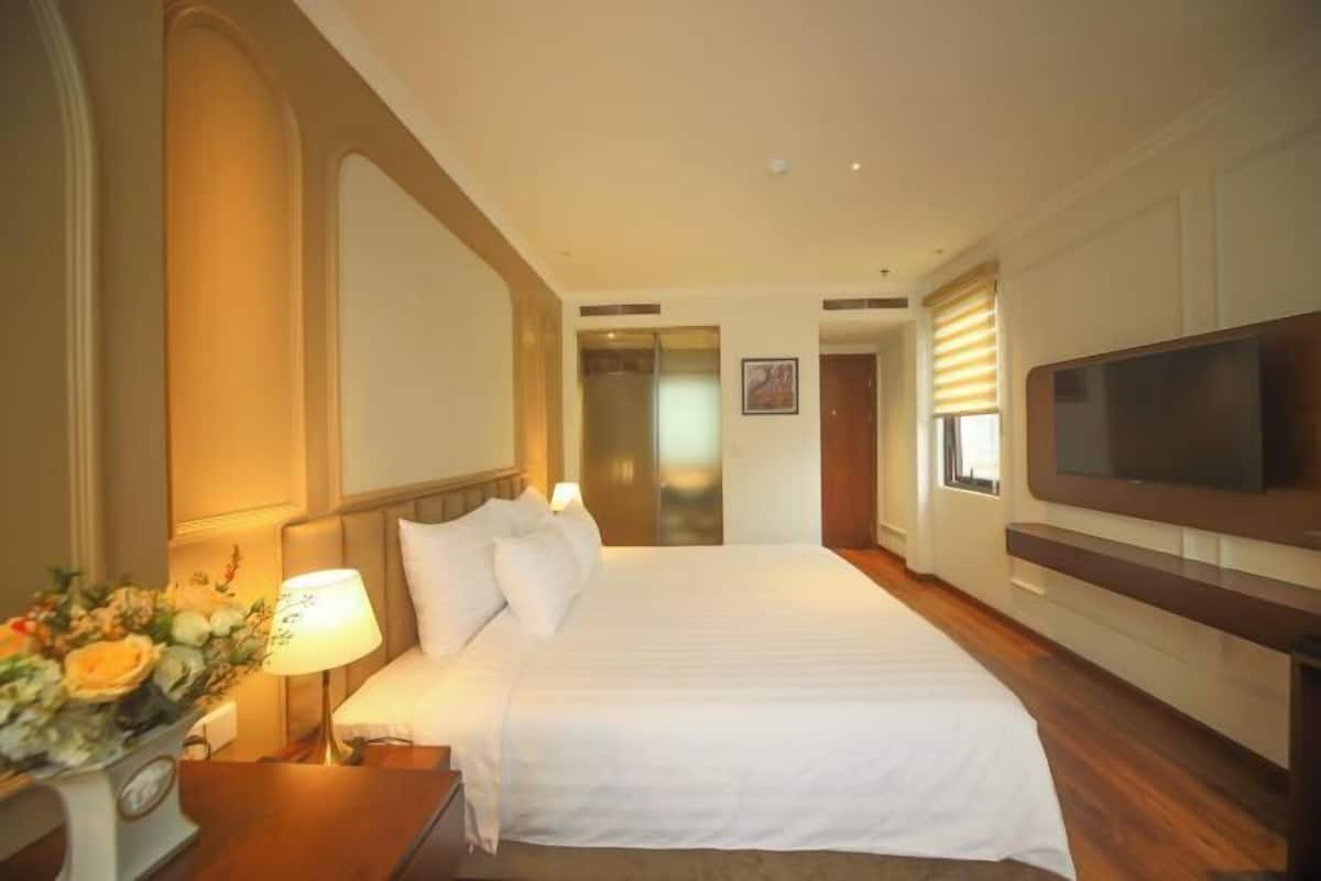 Minibar, desk, soundproofing, iron/ironing board (on request)