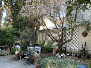 テラス / パティオ