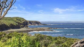 Premium Villa, 2 Bedrooms, Ocean View | Beach/ocean view