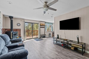 TV, fireplace, books