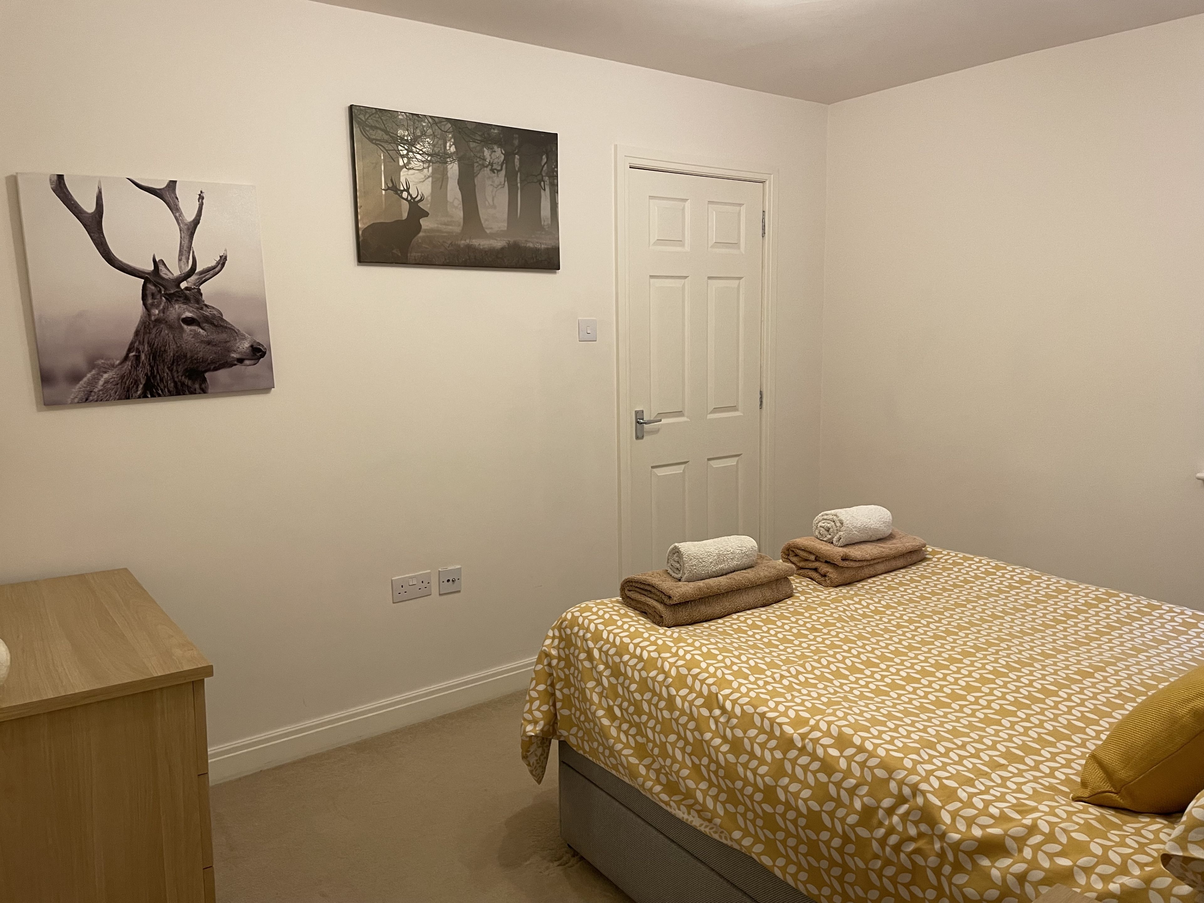 A bedroom with a bed, a nightstand, a door, and two wall-mounted pictures.