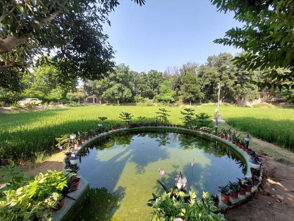 Property grounds - Koko's Farm in Lucknow (Lucknow)