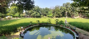 Koko's Farm in Lucknow