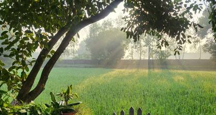 Koko's Farm in Lucknow