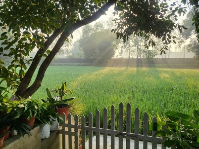 Koko's Farm in Lucknow
