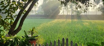 Koko's Farm in Lucknow