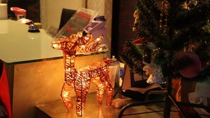 Un árbol de Navidad con adornos e iluminación, una mesa de vidrio con una escultura decorativa de un ciervo, y una silla con un número de pedido visible.