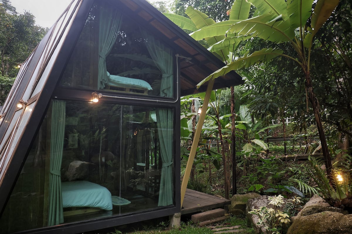 Una habitación con paredes de vidrio, una cama, cortinas y vistas del exuberante follaje circundante.
