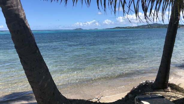 Una playa con aguas turquesas cristalinas, palmeras y una isla a lo lejos.