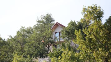 Ulkopuoli