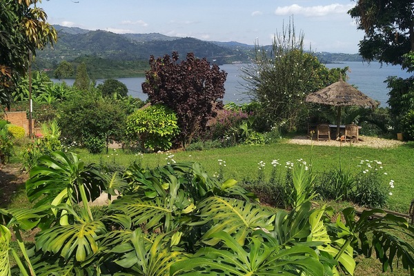 Tenda Basic | Wi-Fi gratis