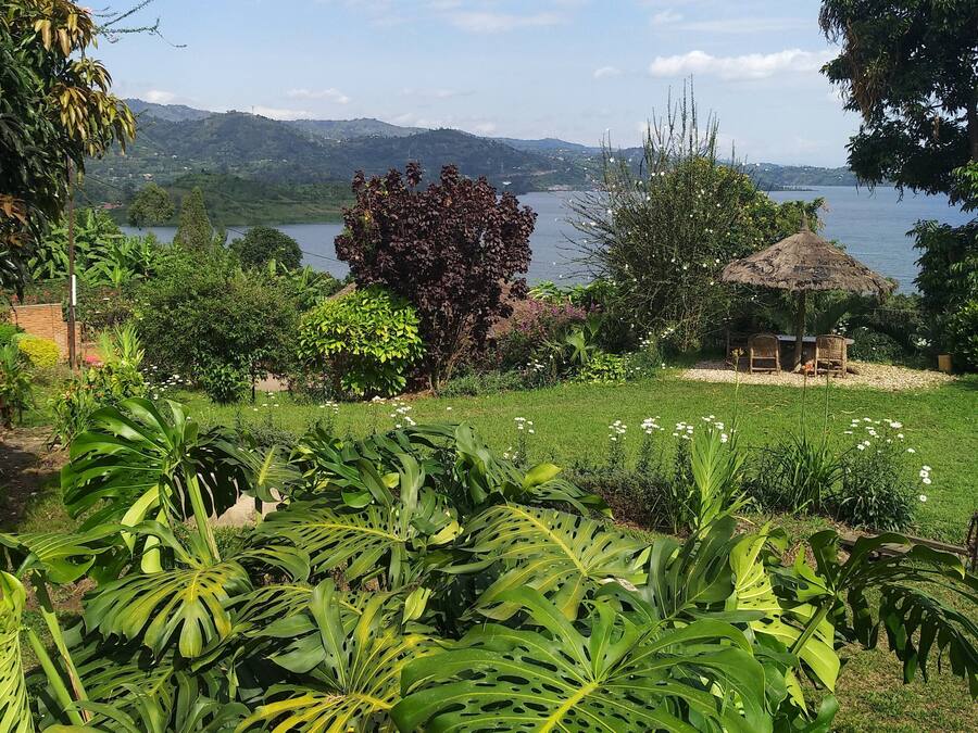 Ein üppiger Garten mit tropischen Pflanzen und Blick auf einen See sowie Hügel im Hintergrund.