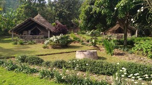 Ngoại thất