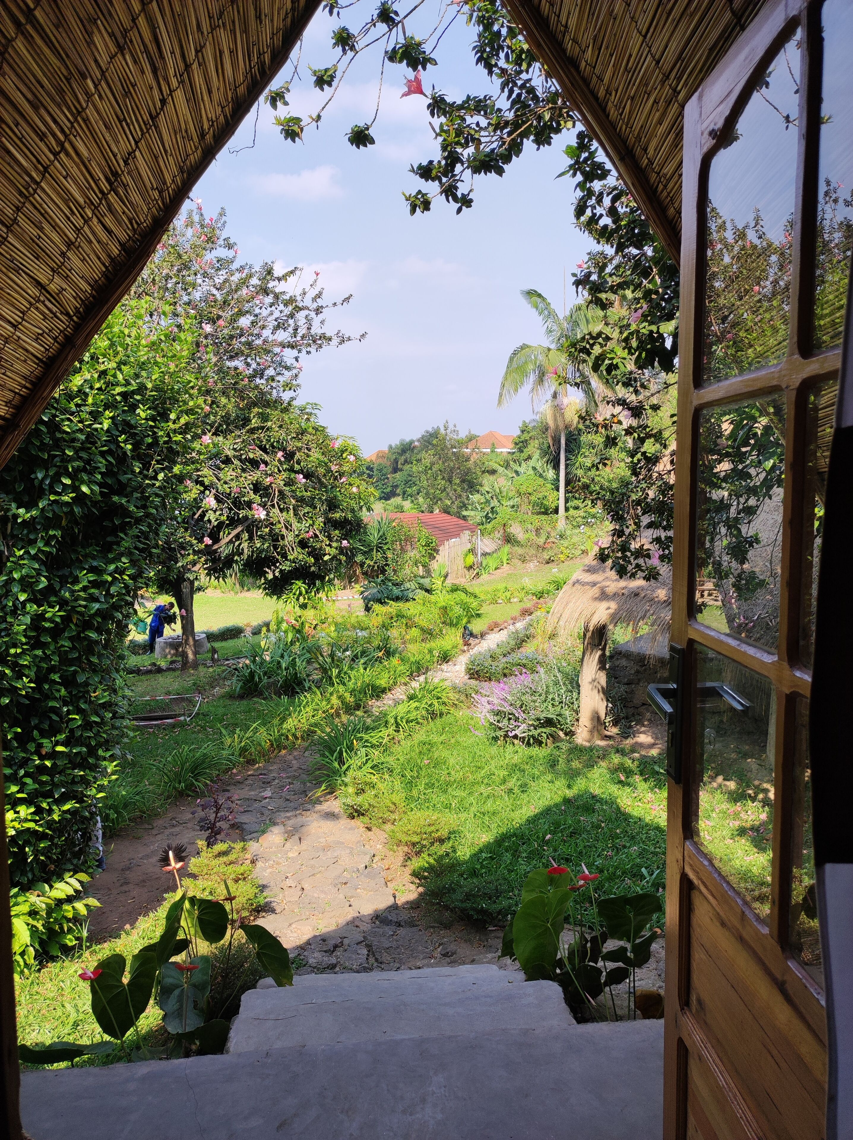 A garden pathway leading to a house with a thatched roof, surrounded by lush greenery and flowering plants.