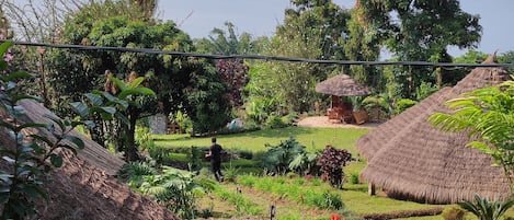 Basic Tent | View from room