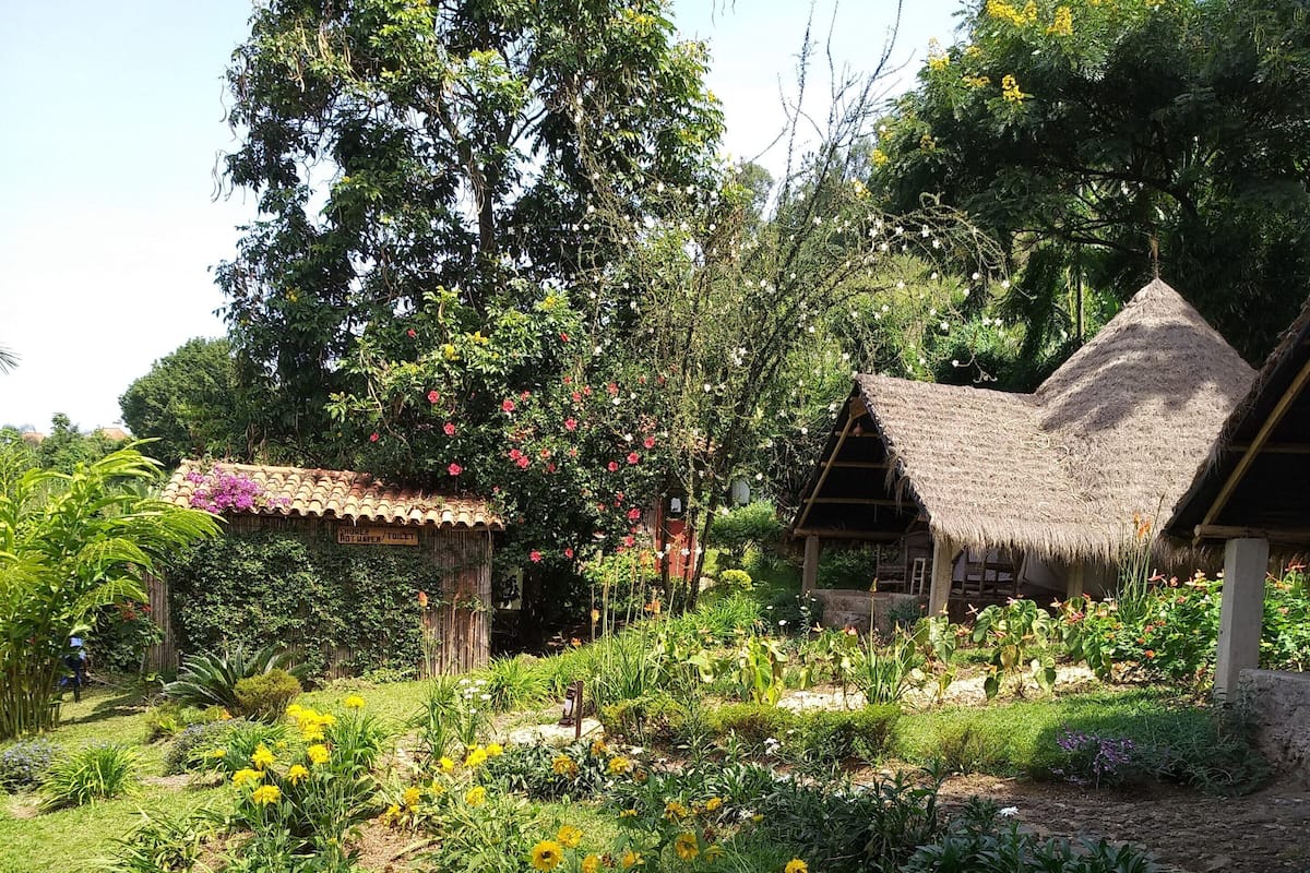 Basic Çadır | Ücretsiz kablosuz İnternet