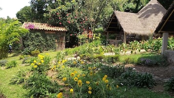 A garden with a thatched-roof structure, surrounded by various plants and flowers.