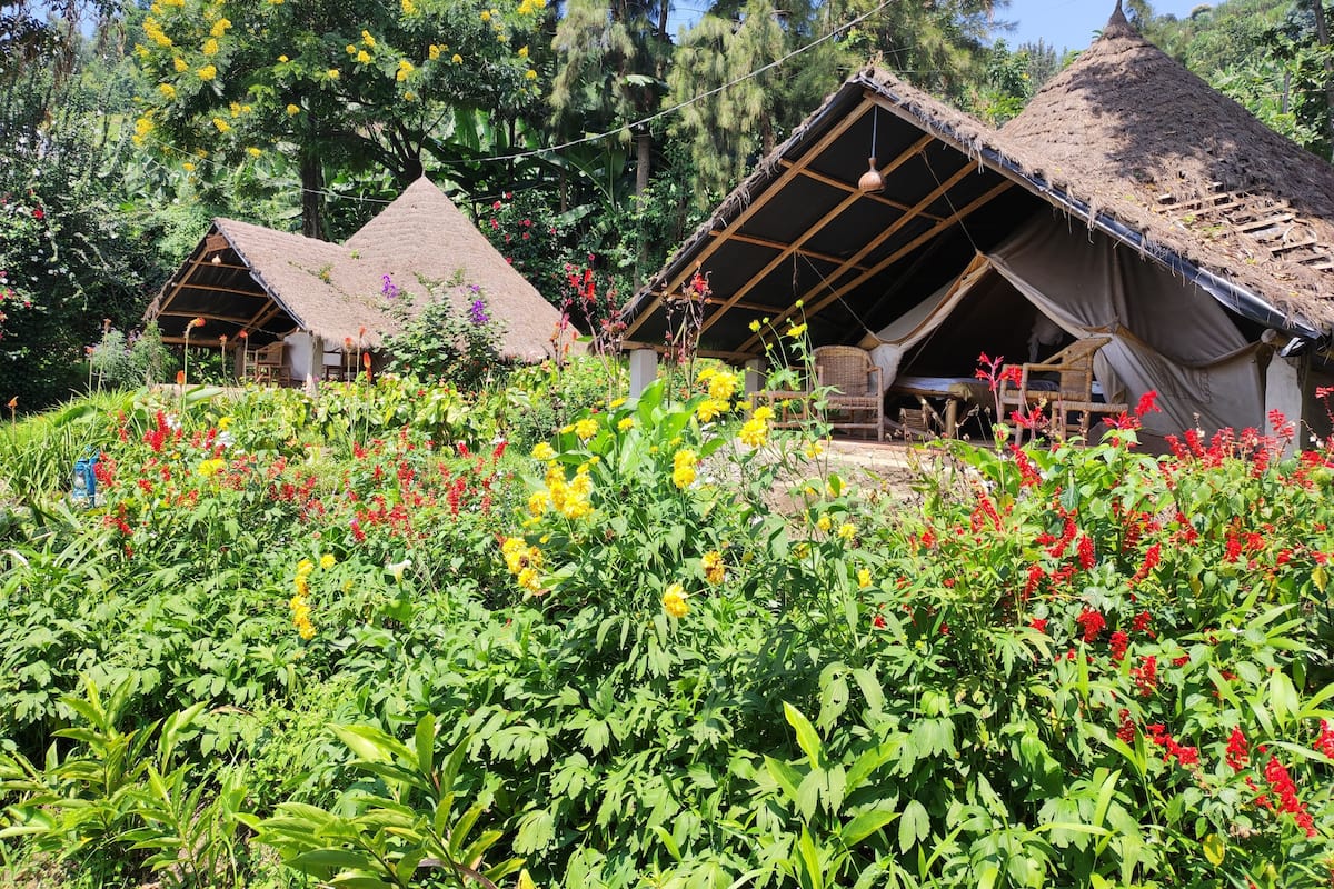 Basic Çadır | Ücretsiz kablosuz İnternet