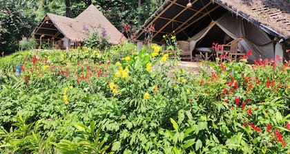 INZU Lodge