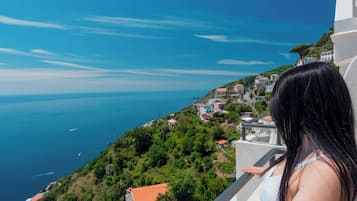 Vista dalla struttura