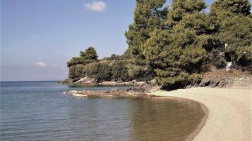 Une plage à l’eau claire, avec un rivage sablonneux et une végétation dense.