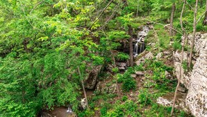 A lush forest with a waterfall and rocky terrain. - The Waterfall Cabin w/ Incredible Sunset View (Ponca)