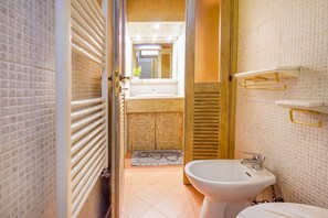 Shower, hair dryer, bidet, towels