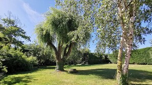 Un jardín bien cuidado con árboles maduros, un césped y un muro de piedra al fondo.