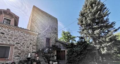 GĂźte Authentique pour 2-3 Pers. avec Cour, Terrain et PĂȘche, Ă ProximitĂ© de Brioude et Blesle