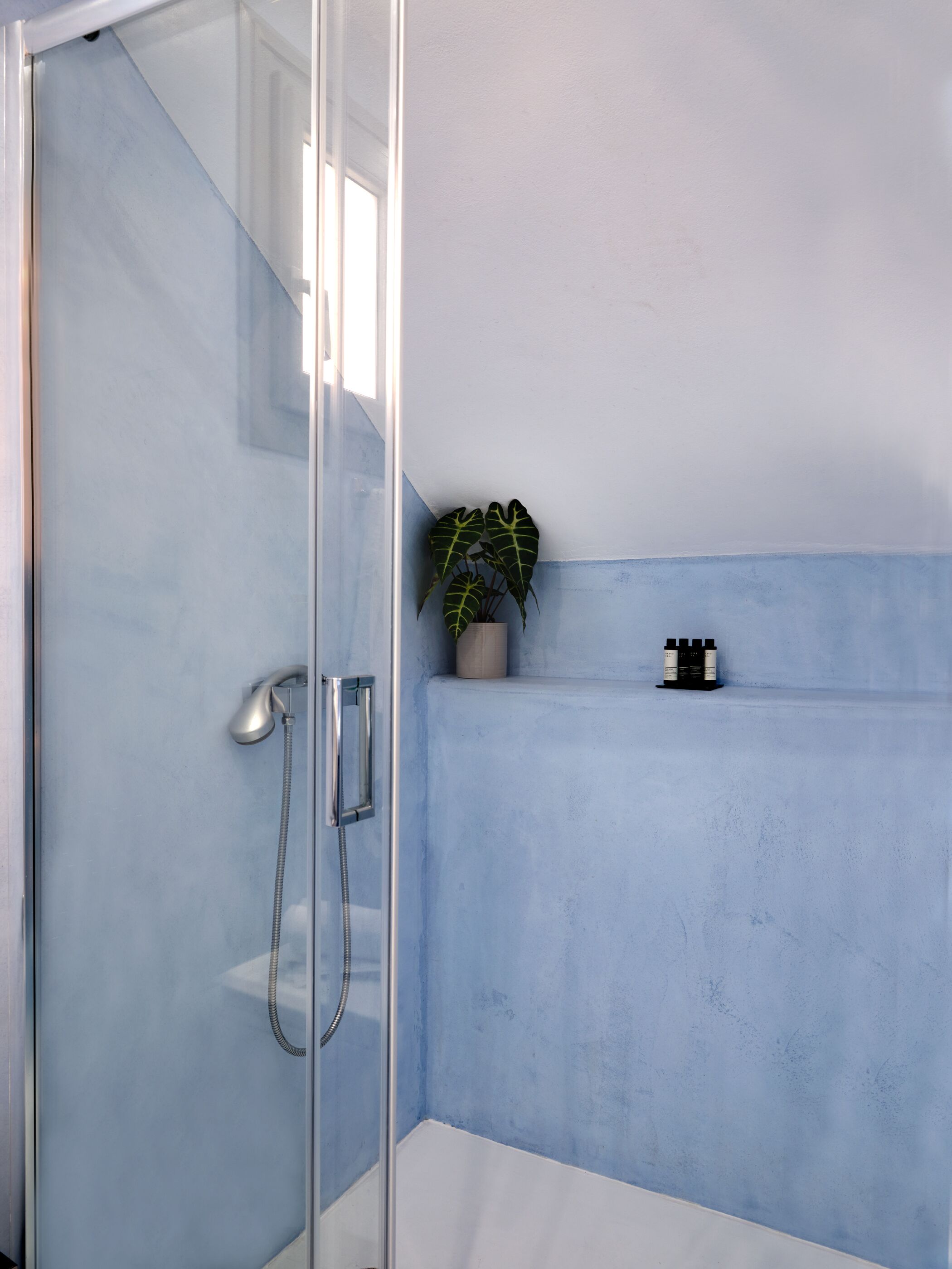 A modern bathroom with a glass shower enclosure, a potted plant, and a shelf with toiletries.