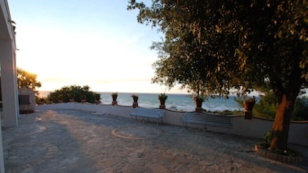Une terrasse dallée avec vue sur la mer, agrémentée de plantes en pot et d’un arbre.
