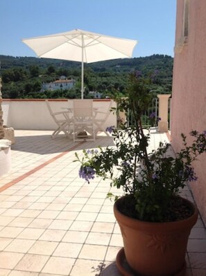 Terrace/patio - Olive tree - Apartments in old farmhouse (Rodi Garganico)